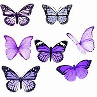 Image result for Asry Vinyl Butterfly Stickers