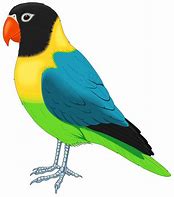 Image result for Colourful Birds Clip Art