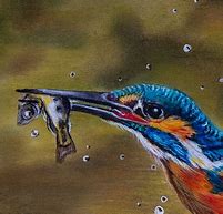 Image result for Old Rustic Fence with Kingfisher Bird Painting