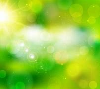 Image result for Beautiful Green Background