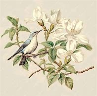 Image result for Drawing of a Bird On a Branch with a Colourful Background