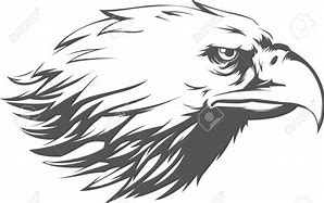 Image result for American Eagle Head Vector Silhouette