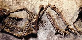 Image result for Oldest Human Bones