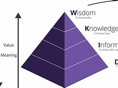 Image result for The Dikw Pyramid