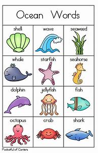 Image result for Ocean Animals Theme Preschool