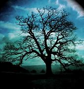 Image result for Fallen Tree Silhouette