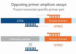 Image result for Solid Tumor DNA Sequencing