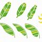 Image result for Leaf Vector Illustration