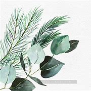 Image result for Watercolor Christmas Greenery