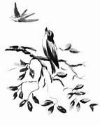 Image result for Birds Branch Illustration