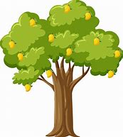 Image result for Pear Tree Clip Art