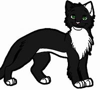 Image result for Anime Male Cat