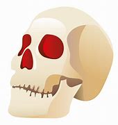 Image result for Human Skull PNG