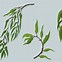 Image result for Willow Tree Branch Illustration