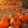 Image result for Homemade Halloween Yard Decorations