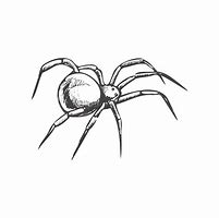 Image result for Halloween Spider Drawing