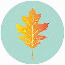 Image result for Yellow Maple Leaf Icon