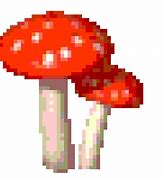 Image result for Mushroom Light Minecraft