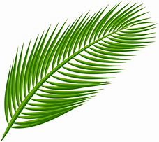 Image result for Free Blue and White Palm Leaf Pattern