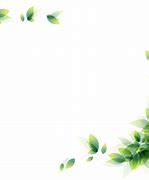 Image result for Leaf Border Outline Silhouette