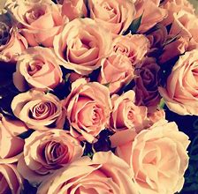 Image result for I Love You Baby Roses Images