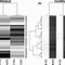 Image result for negative correlation examples