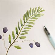 Image result for Olive Branch Watercolor Art