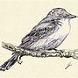 Image result for Bird On Branch Coloring Page