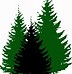 Image result for Evergreen Border Clip Art