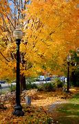 Image result for Fall Foliage Keene NH