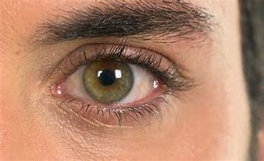 Image result for Real Green Eye Textures