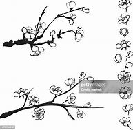 Image result for Flowering Plum Tree in Bloom