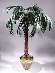 Image result for Potted Palm Tree