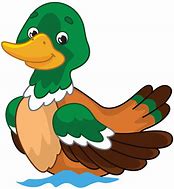 Image result for Duck Cartoon Clip Art