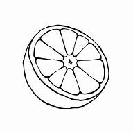 Image result for orange fruit outline