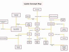 Image result for Concept Map of Structor Lipids