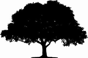 Image result for Big Tree Silhouette