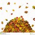 Image result for Leaf Pile Clip Art