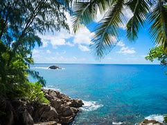 Image result for Tropical Island Ocean