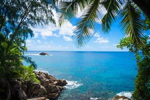 Image result for Tropical Island Ocean