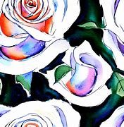 Image result for White Rose Watercolor