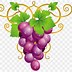 Image result for Grape Leaves Clip Art