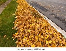 Image result for Pile of Leaves On Curb