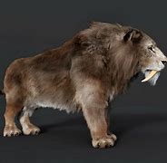 Image result for Smilodon Prehistoric Animals