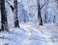 Image result for Winter Immages From NH