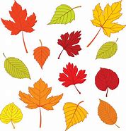 Image result for Leaf Templates to Print