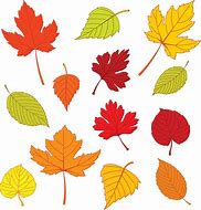 Image result for Fall Leaf Shapes Printable