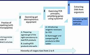 Image result for Hierarchy of Molecular Work