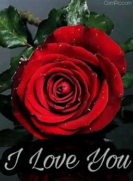 Image result for I Love You Roses