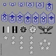 Image result for United States Air Force Insignia